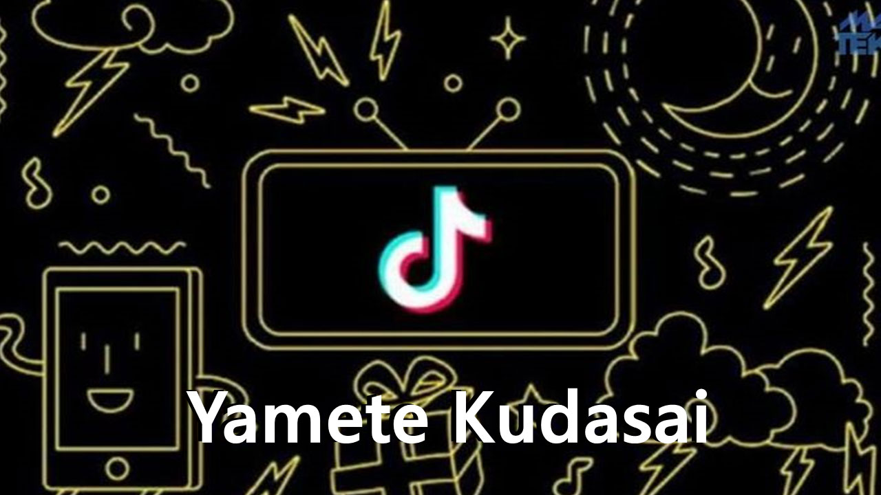 Yamete kudasai artinya dalam bahasa indonesia